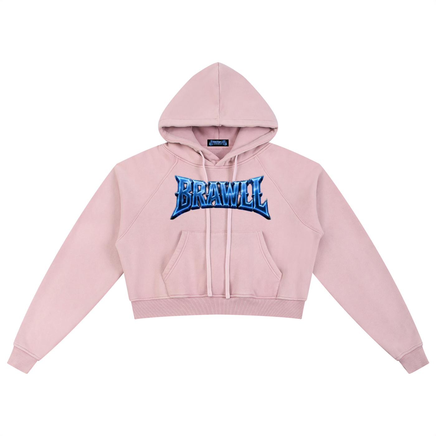 Snow Washed Cropped Hoodie