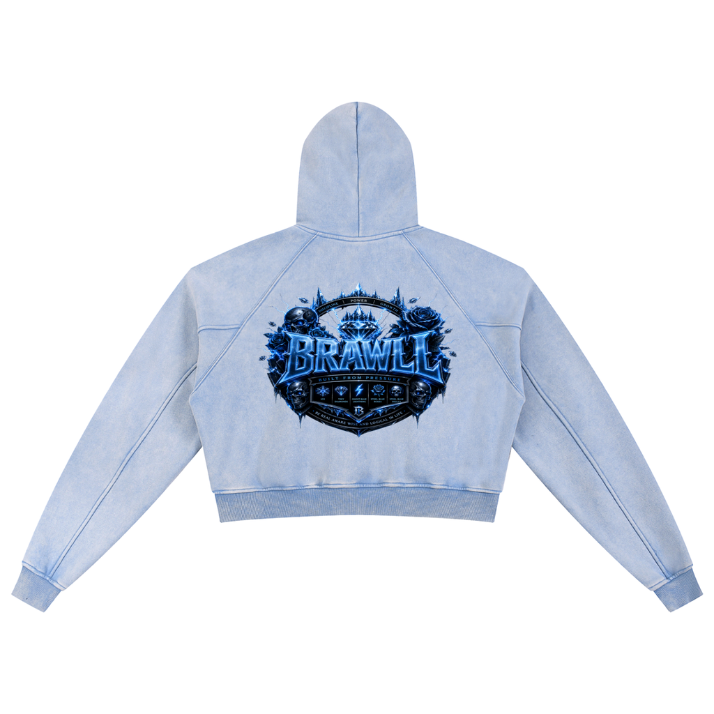 Snow Washed Cropped Hoodie