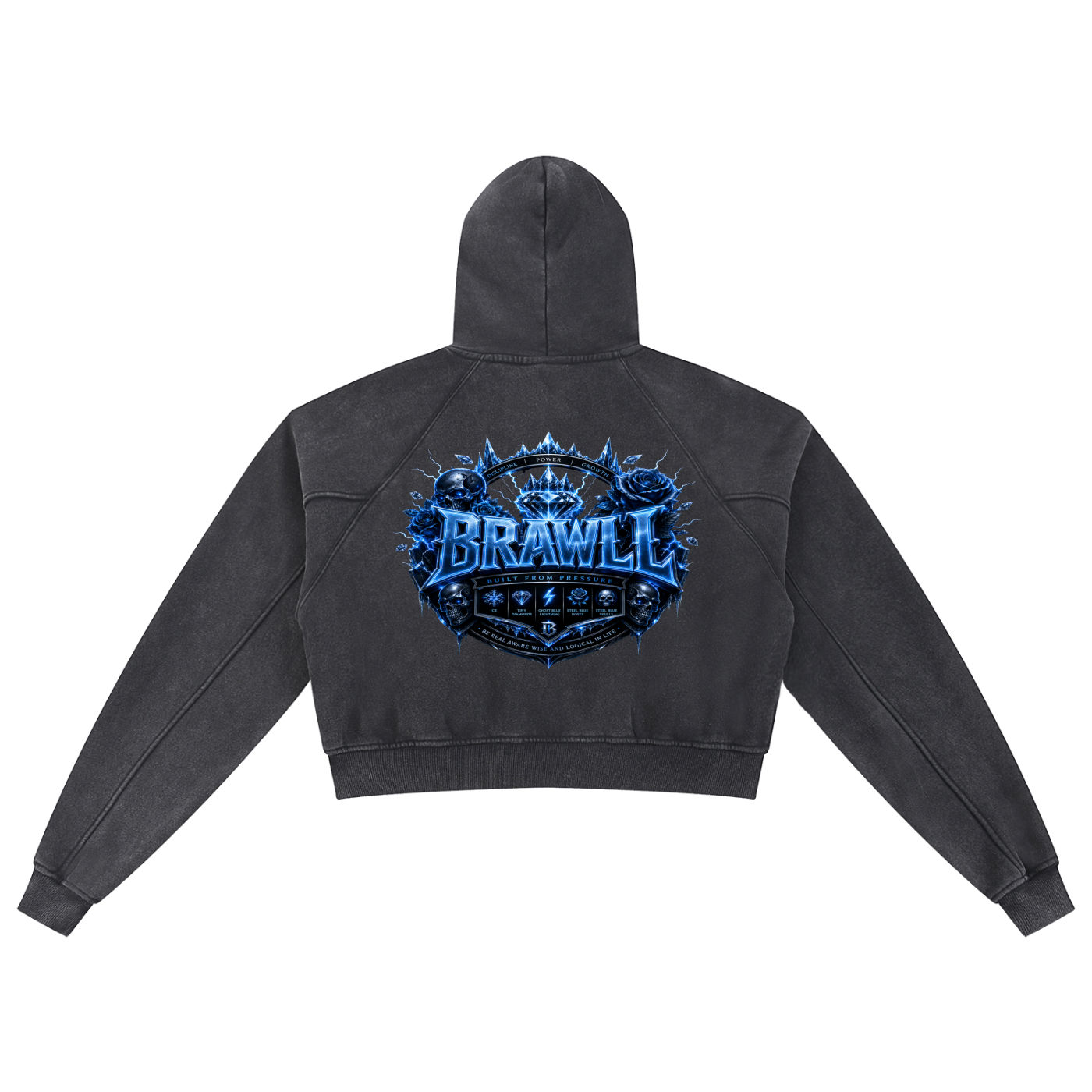 Snow Washed Cropped Hoodie