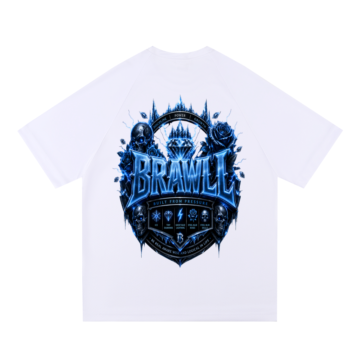 Raglan Sleeve Mesh T-Shirt
