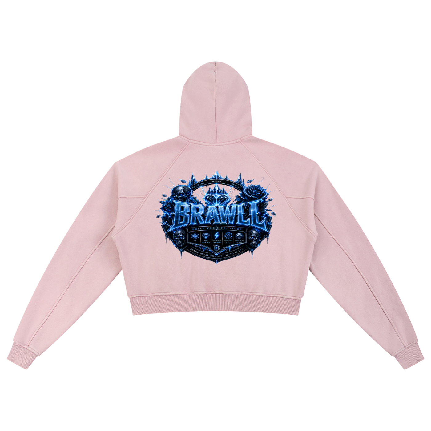 Snow Washed Cropped Hoodie